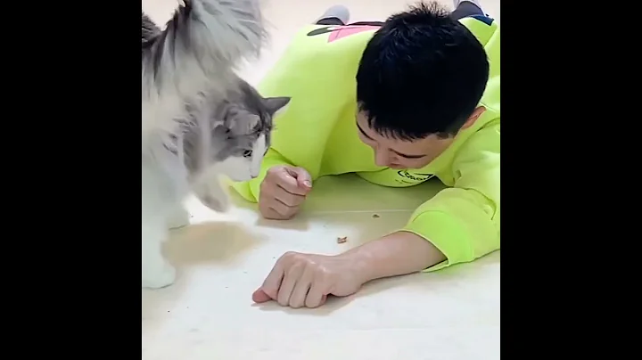 कुत्ता ज़्यादा वफ़ादार होता है या बिल्ली? यह गजबexperiment जवाब देगा | #shorts