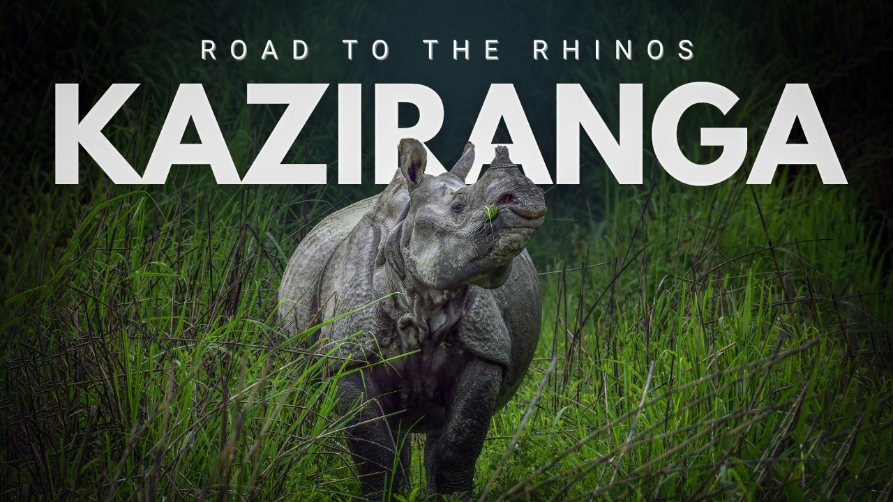 Roadtrip to Kazirangha National Park(World Heritage Site) on May 2025I Rongo (Cherapunji of WB)