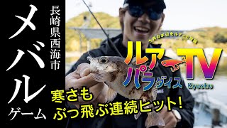 長崎県で杉山代悟さんがメバルと遊ぶ！　寒さもぶっ飛ぶ連続ヒットを呼んだのは！？【ルアーパラダイス九州TV】
