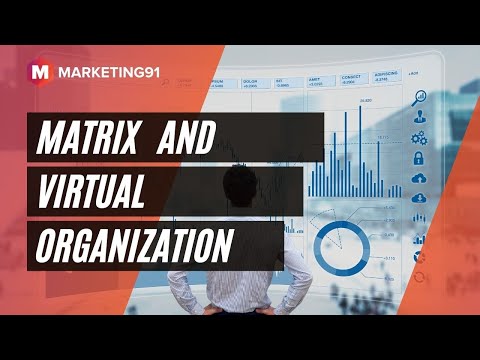 Matrix Organization and Virtual Organization - Features and Challenges (Management video 6)