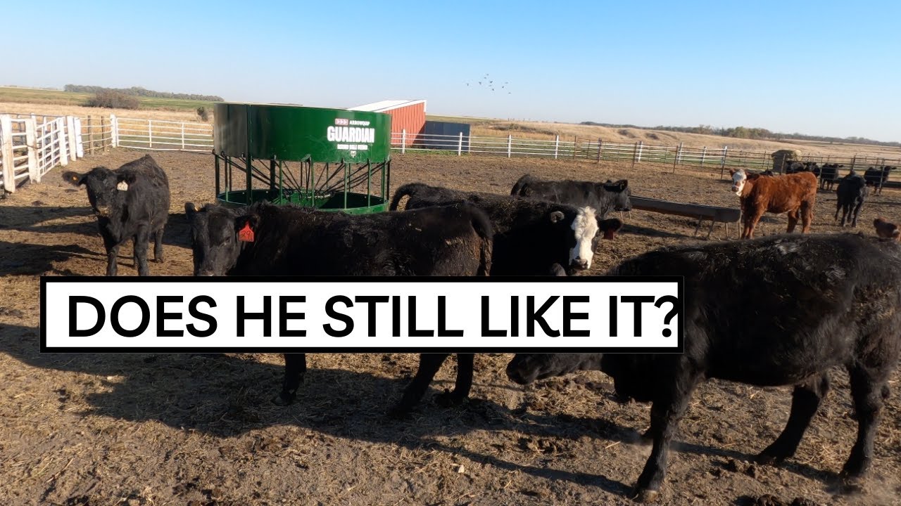 Is this round bale feeder worth $2,000?