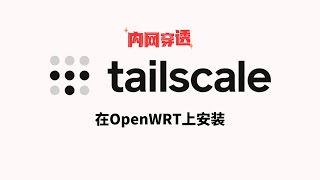 在软路由/openwrt上安装Tailscale实现内网穿透、异地组网、远程访问，点对点传输，更好的使用体验！轻松打通内外网！群晖、威联通NAS，替代zerotier#一瓶奶油