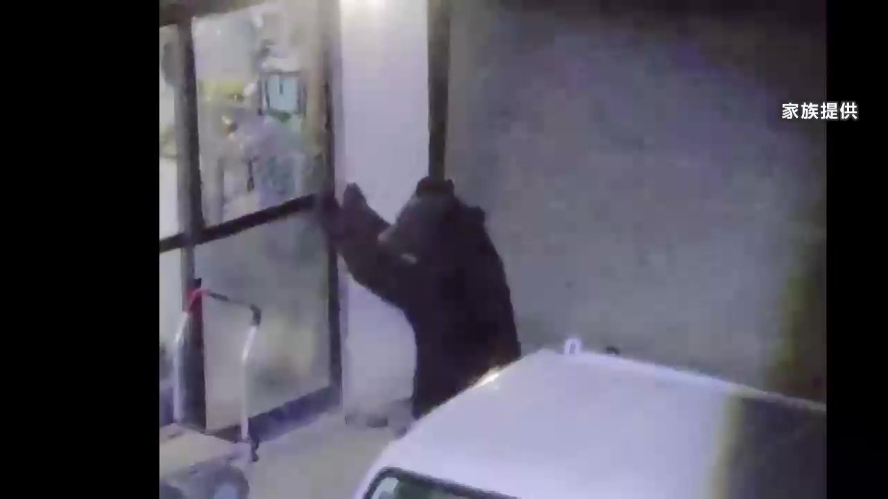 Another Bear Breaks into Home; Similar Incident 1km Away Just 4