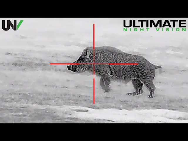 Hunting Big Boars with High Definition Thermal 1280x1024 class=