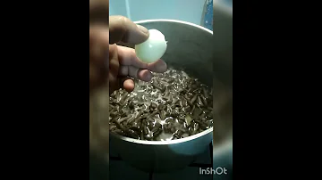 Ядовитые грибы или нет ,как проверить???!!🍄🍄🤢🤢