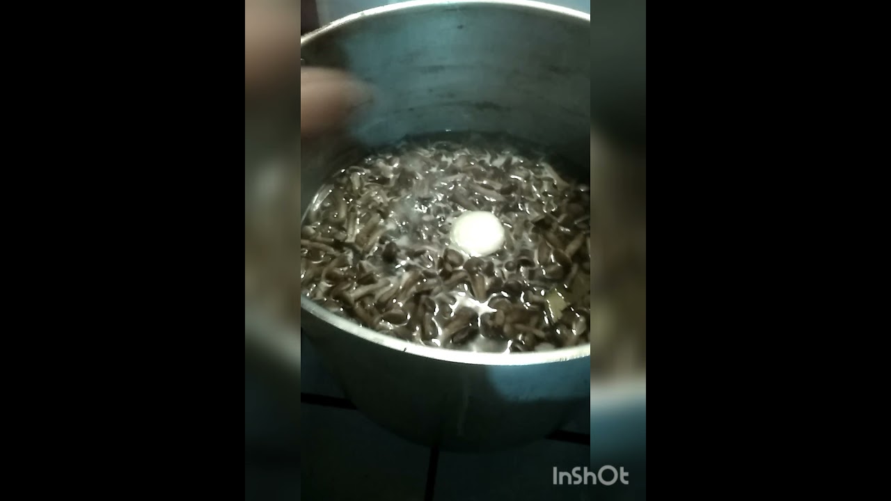 Ядовитые грибы или нет ,как проверить???!!🍄🍄🤢🤢