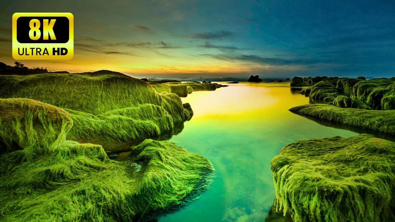 Peaceful Earthscapes in 8K HDR | Ultimate Relaxation | 8K Ultra HD | Vibrant Earth