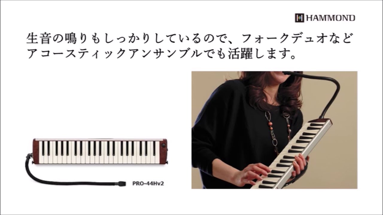 ⭐︎未使用⭐︎美品⭐︎HAMMOND エレアコ鍵盤ハーモニカ PRO-44Hv2 Amazon.com: HAMMOND ハモンド HAMMOND44 PRO-44Hv2 鍵盤