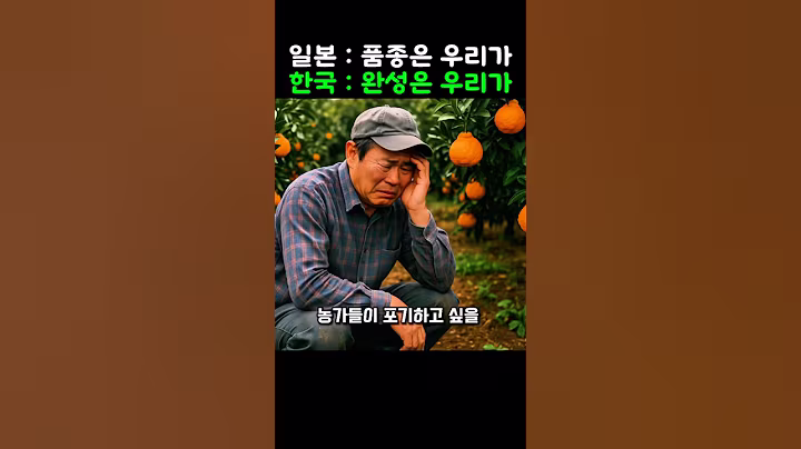 일본 품종인데 한국기술로 재탄생시켜 세계가 탐내는 과일 레전드