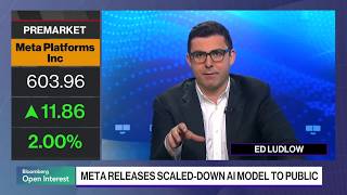 Meta Releases AI Model You Can Use at Home screenshot 4