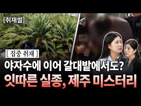 야자수숲에 이어 화제된 갈대밭은 왜? 제주 미스터리 [사회부 기자의 취재썰]