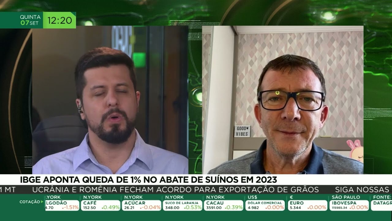 IBGE aponta queda de 1% no abate de suínos em 2023