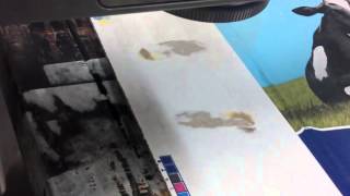 Linx Laser Modelo SL302