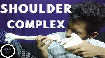 SHOULDER JOINT INTRODUCTION  (SHOULDER JOINT  COMPLEX BIOMECHANICS)Physiotherapy Tutorials