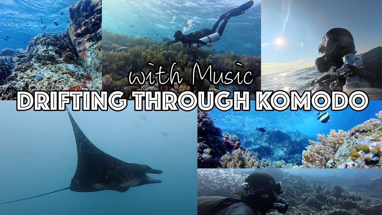 Drifting Through Komodo | Serene Dive with Music | Relaxing Ocean Film| IDARO