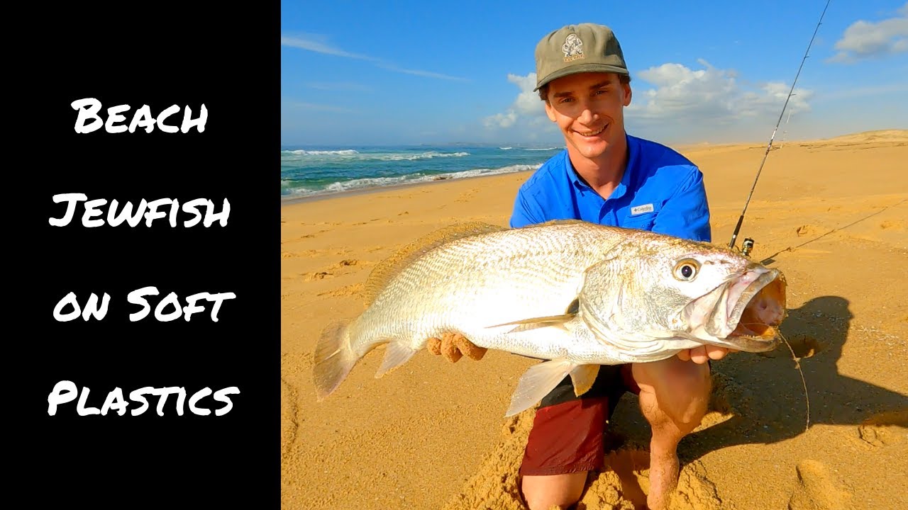 Beach Jewfish on Soft Plastics