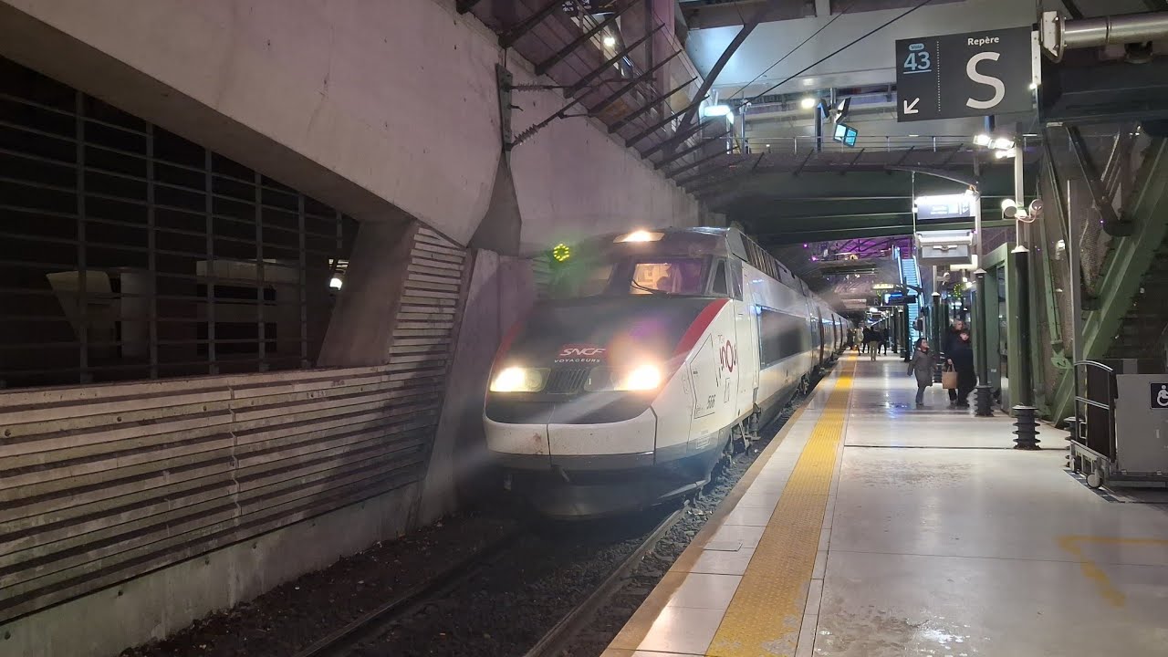 Trains at Gare Lille Europe 
