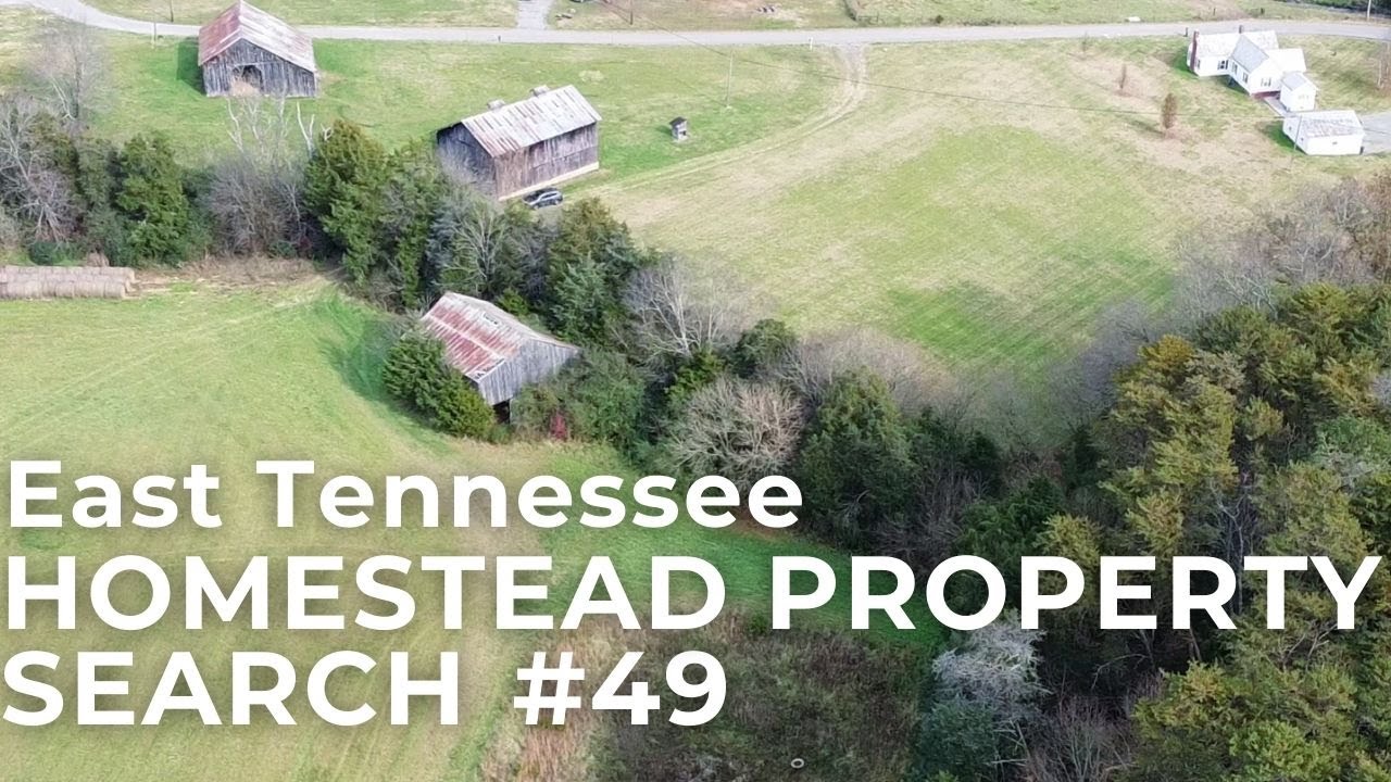 Homestead Property Search 49 East Tennessee Nov 28 2021 YouTube