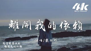 戴羽彤 - 離開我的依賴『我來不及道聲不安,有點混亂有點緩慢。』【高音質|動態歌詞Lyrics】♫ · 翻唱歌曲