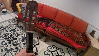 Giannini AWN-21  (1978 is the manufacturing date) - a quick video 12-31-20 screenshot 2