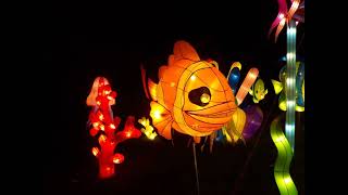 China Lights At The Milwaukee Wisconsin Boerner Botanical Gardens In 2017 - Unbelievable Beauty