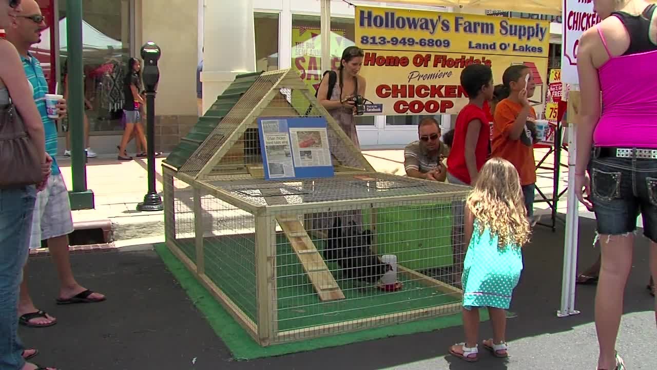 Chicken Coops For City Folks YouTube