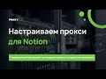 Настройка прокси для Notion