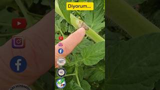 Di̇nlemeyen Kendi̇ Kaybeder Mesleği̇mi̇ Çok Sevi̇yorum, Hakkiyla İcra Etmeye Çalişiyorum - Bk