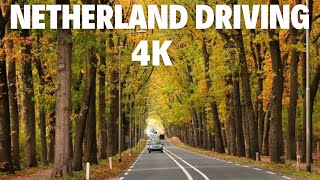 Netherland driving 4K | Driving Downtown | #netherlands #4k #roadtrip