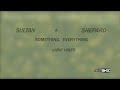 Sultan  shepard  something everything feat richard walters lyric