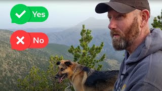 After 10 Years No Alcohol - Do I Ever Want To Drink? Content