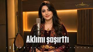 🔥 Aklımı Şaşırttı - Hareketli Türkçe Folk Remix