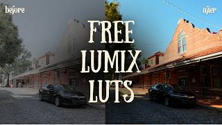 Best Everyday LUT for the Lumix S9 | I Tested 10 Lumix Lab LUTs screenshot 2