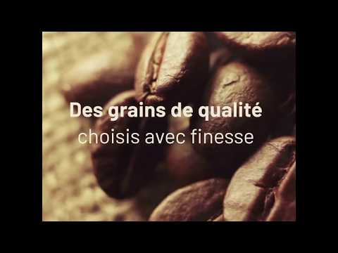 قهوة 1001 بذوق الإسبريسو