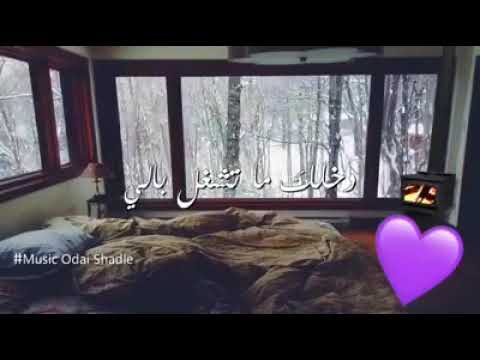 سامي عودة عني ما تبعد وتروح حالة واتس 