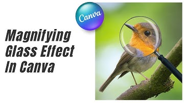 Magnifying glass effect in Canva Tutorial For Beginners