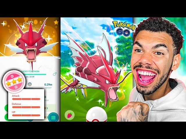 MEGA EVOLUINDO GYARADOS SHINY 100% - POKEMON GO, Cris