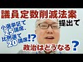 【背景+今後の詳細解説】自民党と維新の会で、議員定数削減法案が提出されましたが、どうなってしまうんでしょうか。