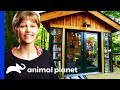 Grace VanderWaal Gets The Ultimate Chilled Out Clubhouse | Treehouse Masters