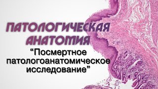 Клиническая патологическая анатомия №3 "Посмертное патологоанатомическое исследование"