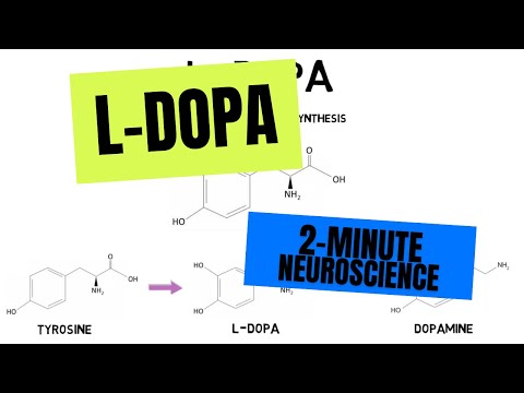 2-Minute Neuroscience: L-DOPA