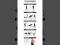 🔥 Fat Loss Workout Routine 💪Stay active, burn calories, and achieve your fitness goals.