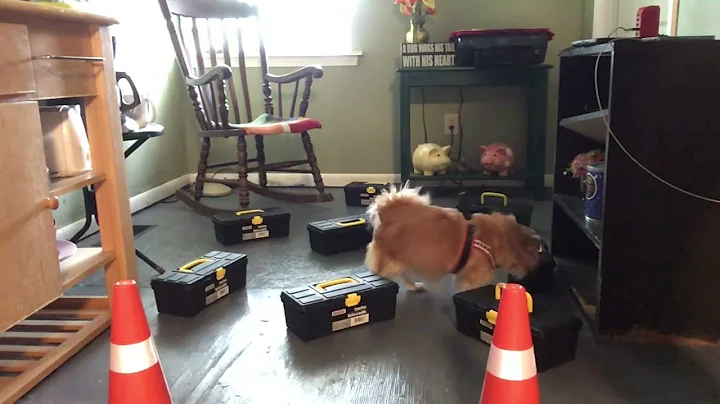 Speed drill using distractions