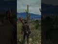 #reddeadredemption #gaming #caballos #parati