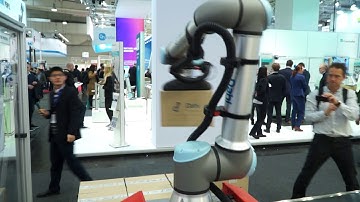 Palletizing with Dahl Linear Move – full integrated Rollon linear axis for Universal Robots