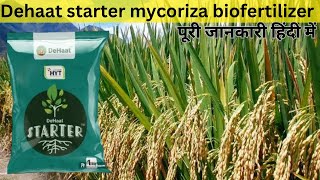 Полная информация о биоудобрении Dehaat Starter Mycorrhiza // Использование микоризы на хинди screenshot 4