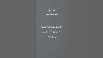 ما تيسر من سورة الزمر #اكسبلور #المصحف #تلاوة #دويتو #حالات_واتس #الرحمن #قران_كريم #سورة_الزمر