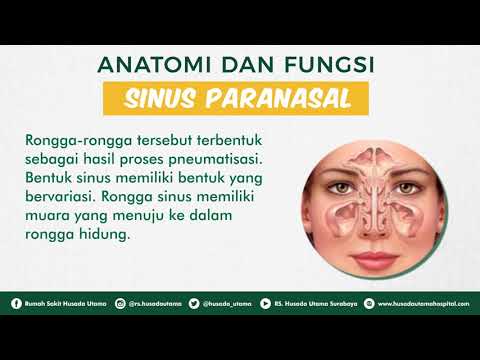 Video: Lidamitol - Arahan Untuk Penggunaan Suntikan, Ulasan, Analog, Harga