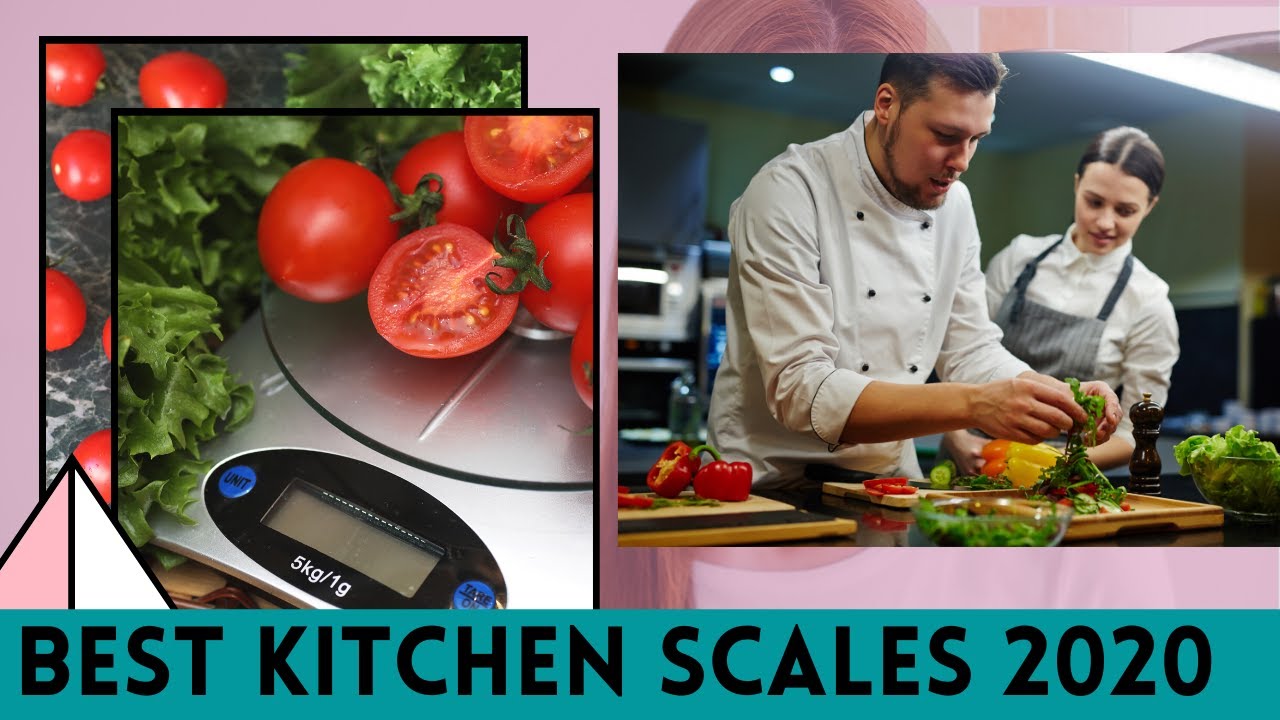 Top 5 best food scale 2020 Best Kitchen Scales 2020 Bounce to Digital
