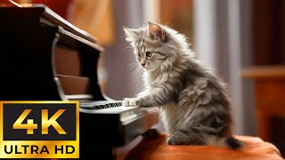 Amazing World Of Young Animals That Calms The Nervous System And Refreshes The Soul ~ Music therapy by Tiny Paws 1,231 views 3 days ago 10 hours, 50 minutes